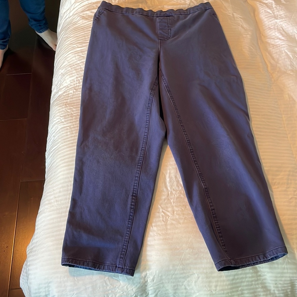 Isaac Mizrahi slacks